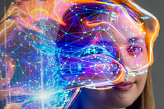 Behavioral Neuroscience Program Fund